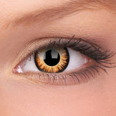 Trakā vienas dienas krēsla